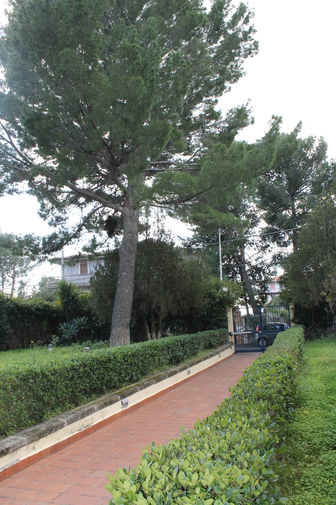 Casa Protetta Aura Radiosa